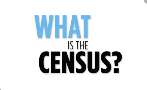 Census. What EXACTLY is Mandatory?